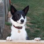 Jeff Symonds - @jeff.symonds - Instagram