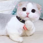 Jeff Tai - @fetima.tw - Instagram