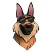 Jeff Tawater Dog Training - @jefftawaterdogtraining - TikTok