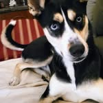 Jeff Tatum - @jeff.tatum.330 - Instagram