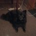 Jeff Tesch - Facebook
