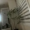 user8538248839553 - @jeff.thaw - TikTok