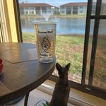 Jeff Tillman - @hammerwolfpainting1970 - Instagram