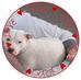 Jeff Tillman - Facebook