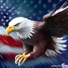 Jeff - @jefftinker7334 - TikTok
