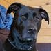 Jeff Tisdale - Facebook