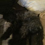 @jeff.toler - Instagram