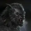 jefftoler539 - @jefftoler539 - TikTok