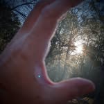 Jeffery Towery - @redneckspidermam - Instagram