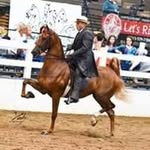 Jeff Tryon - @tryonjeff - Instagram