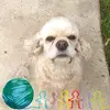 Jeffrey Tryon461 - @jeffreytryon461 - TikTok