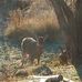 Jeff Tulk - Facebook