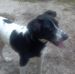 Jeff Turman - Facebook