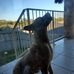 Jeff Vale - Facebook