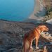 Jeff Vanderpool - Facebook
