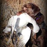 Jeff Varner - @jeff.varner.9 - Instagram