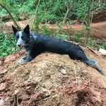 Jeff Vickers - @grant_park_trails - Instagram