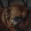 jeffvickers2 - @jeffvickers2 - TikTok