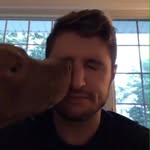 Jeff Vreeland - @unclejeffvee - Instagram