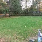 Jeff Vreeland - @vreelandlawncare - Instagram