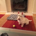 Jeff Wall - @jeffwall78 - Instagram