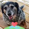 Jeff Wallace - @jeff.wallace65 - TikTok