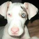 jeff waltz - @waltzjeff - Instagram