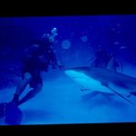 Jeff Waltz - @jeff.waltz2 - Instagram