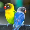 Jeff Warner - @jeff.warner4 - TikTok