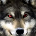 Jeff Watt - @jeff.watt.984 - Instagram
