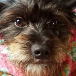 Jeffery Cash Weigand - @jefferyweigand - Instagram