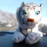 Jeff Wesley - @jeffwesley7184 - Instagram