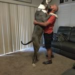 Jeff Whaley - @jeffwhaley51 - Instagram