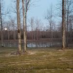 Jeff Whaley - @jeff.whaley.33 - Instagram