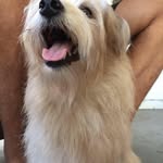 Jeff Whitehead - @jwhitehead64 - Instagram