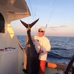 Jeff Whitehead - @whitehead092349 - Instagram