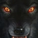 Jeff Wiese - @jeffery828 - Instagram