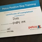 Jeff Wiese - @jeffwiese - Instagram