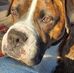 Jeff Wilhoit - Facebook