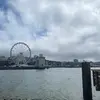 jeff willer - @jeff.willer1 - TikTok