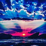selfboss - @jeff____willerton - Instagram