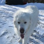 Jeff Wills - @jeff.wills.338 - Instagram