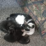 Jeff Winn - @jeffwinn48 - Instagram