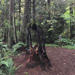 Jeff Winn - @jwinnus - Instagram