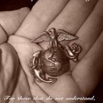 Jeff Winstead - @vtforme1 - Instagram