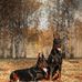 Jeffrey Winterton - Facebook