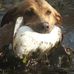 Jeff Wise - Facebook