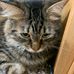 Jeff Wise - Facebook