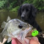 Jeff Wright - @jefftwright - Instagram