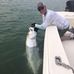 Jeff Wrona - Facebook